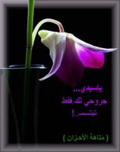 الصورة الرمزية متاهة الأحزان