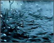 الصورة الرمزية إتكاءةُ مطر