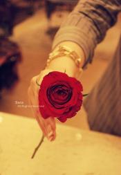 الصورة الرمزية غاده